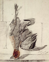 AA 046
<br/>
Een eendvogel
<br/>
<em>Cate, Hendrik Gerrit ten (1803-1856)</em>